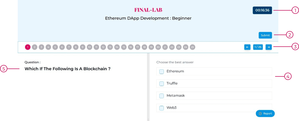 Final Lab Instructions